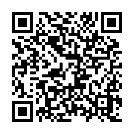 QR code for 991JIZ