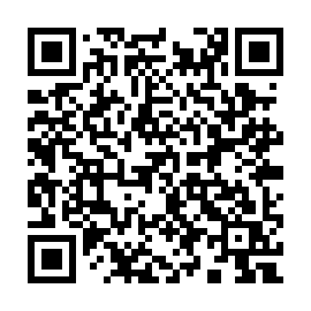 QR code for 991PIS