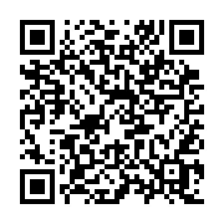 QR code for 991SEF