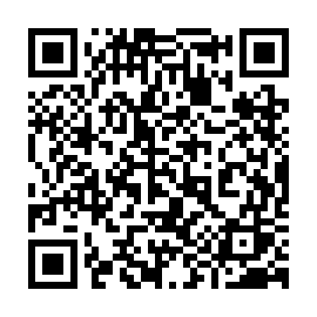 QR code for 991SGS