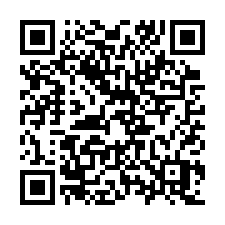 QR code for 991SPT