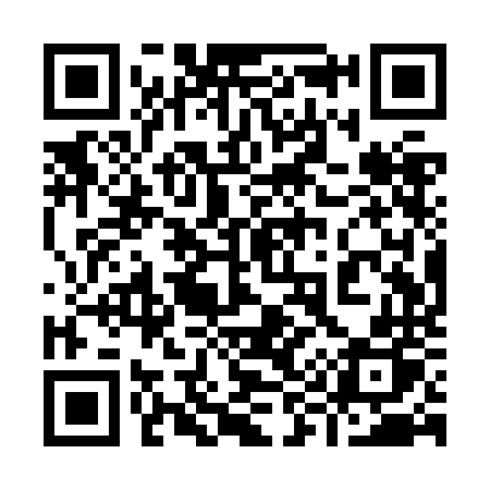 QR code for 991ZNP