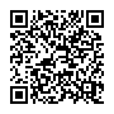 QR code for 991ZST
