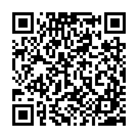 QR code for 993CTL