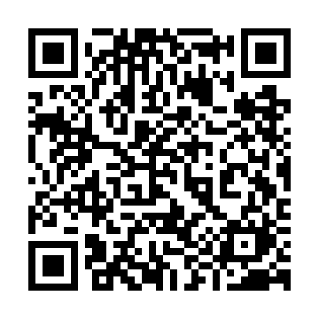 QR code for 993GBM