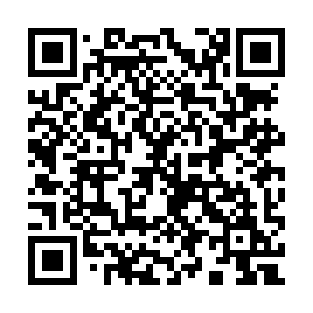 QR code for 993LIM