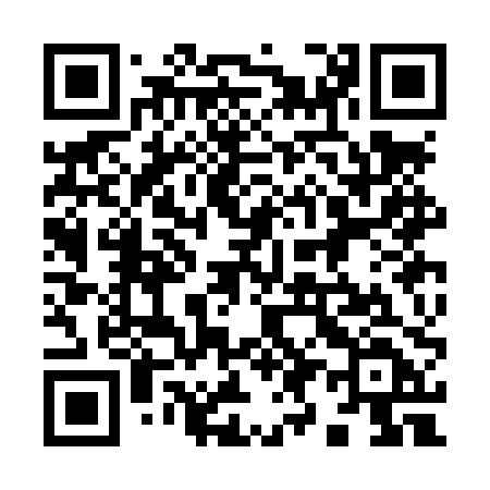 QR code for 993LPD