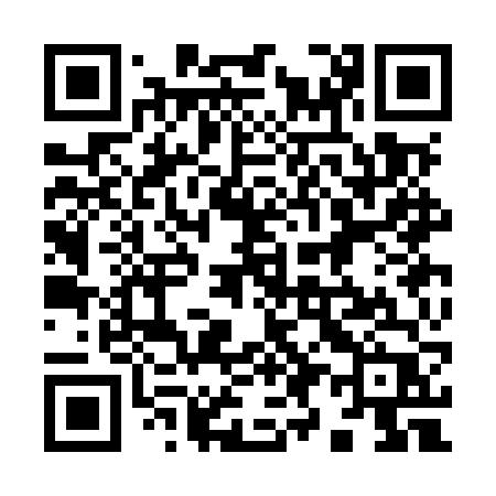 QR code for 993MVP
