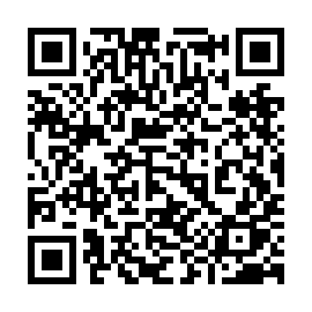 QR code for 993NIP