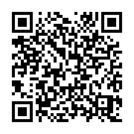 QR code for 993PHQ