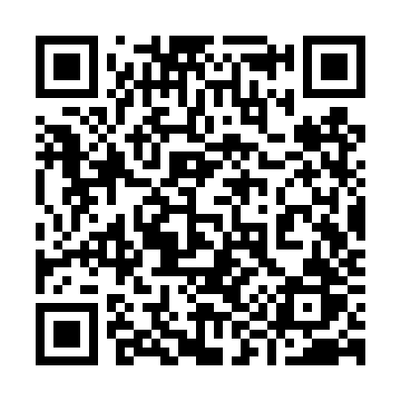 QR code for 993TZR