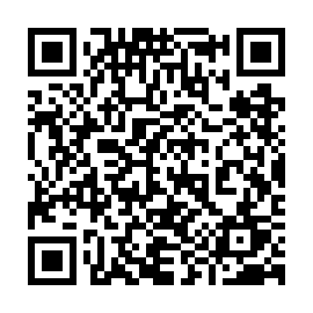 QR code for 993WCT