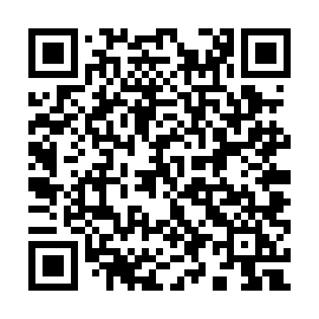 QR code for 994PLI