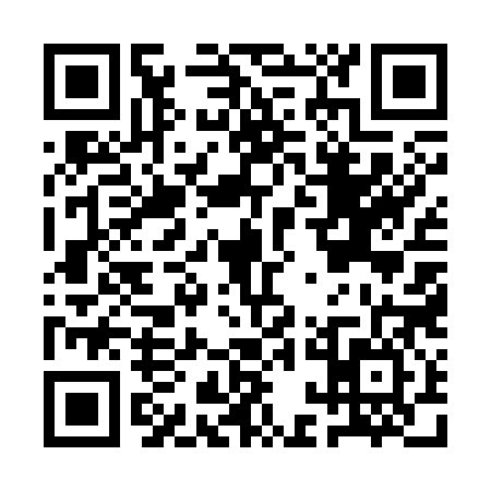 QR code for AAE3865
