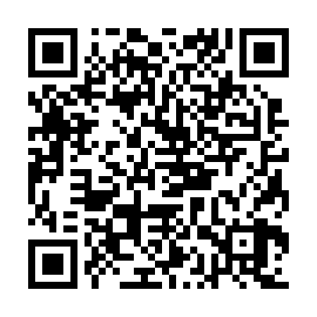 QR code for AAS228