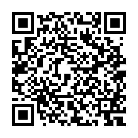 QR code for AAS3819
