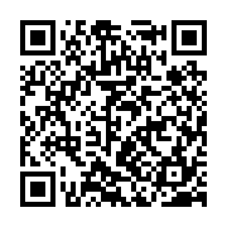 QR code for ACE234