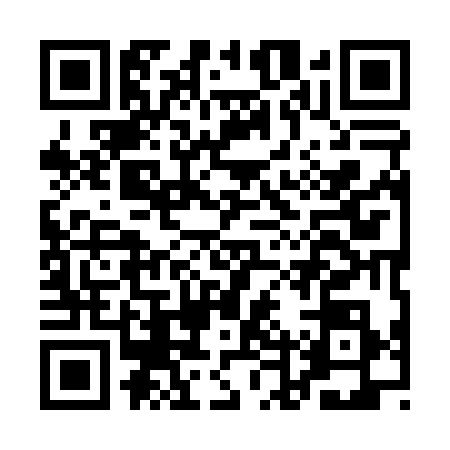 QR code for ADY0381