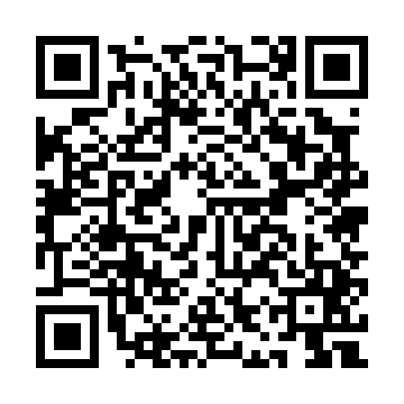 QR code for AIU0453