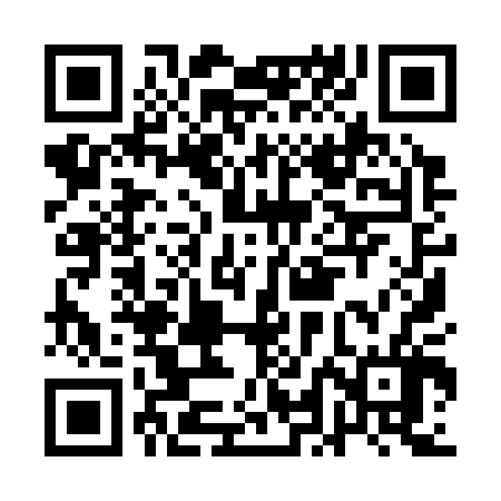 QR code for ALI306