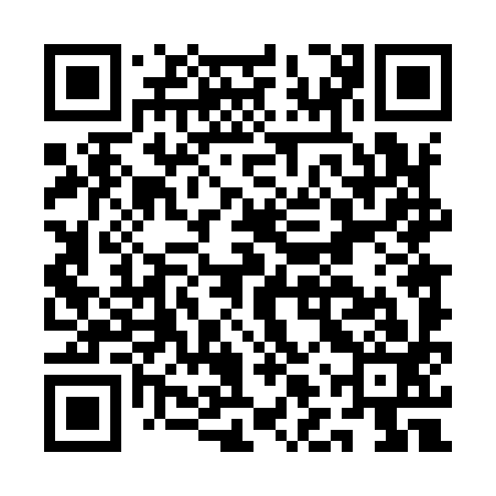 QR code for ALT993