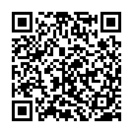 QR code for ALU341