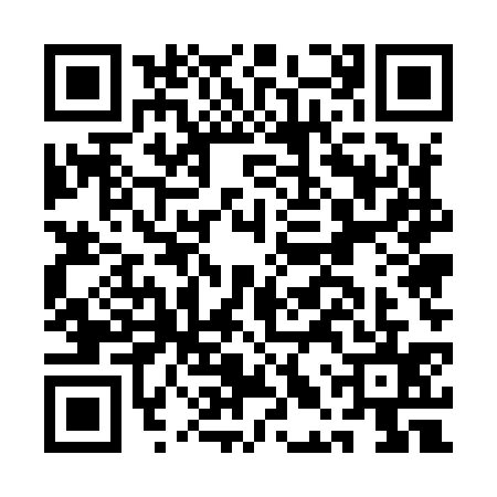 QR code for ALU9356