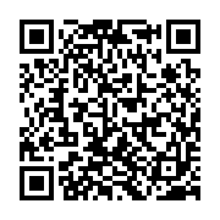 QR code for ANE393