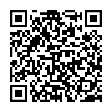 QR code for ANT029