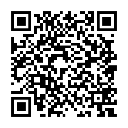QR code for AOX0596
