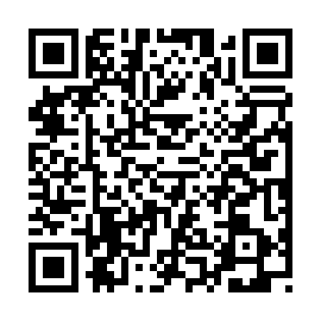 QR code for APG0434