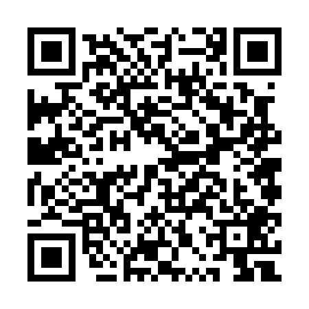 QR code for APV0091