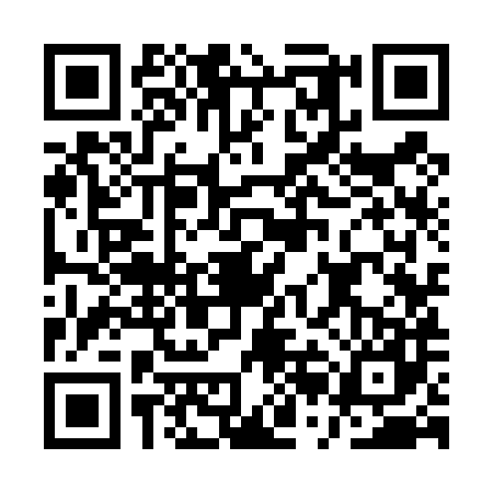 QR code for ARK4875