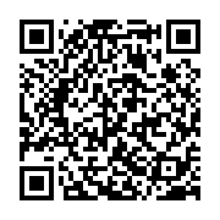 QR code for ARM119