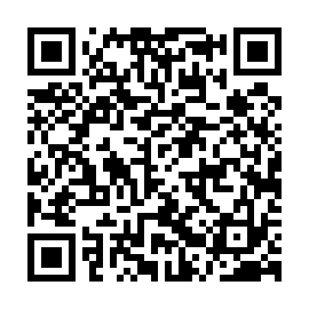 QR code for ART533