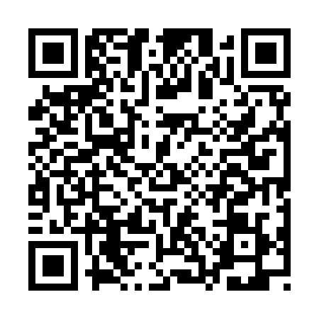 QR code for ASE9295