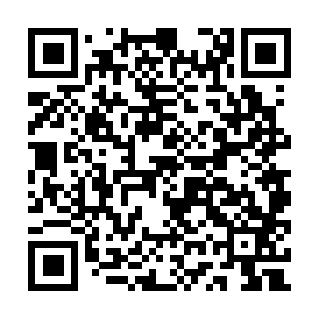 QR code for AWV383