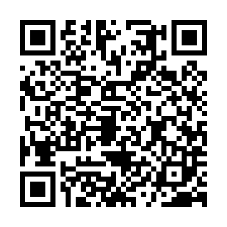 QR code for AYE0838