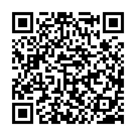 QR code for AYP919