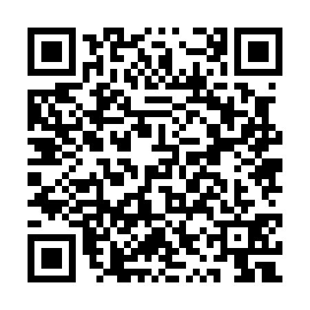 QR code for AYZ0311