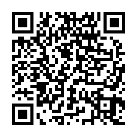 QR code for AYZ9616