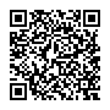 QR code for BAB9573