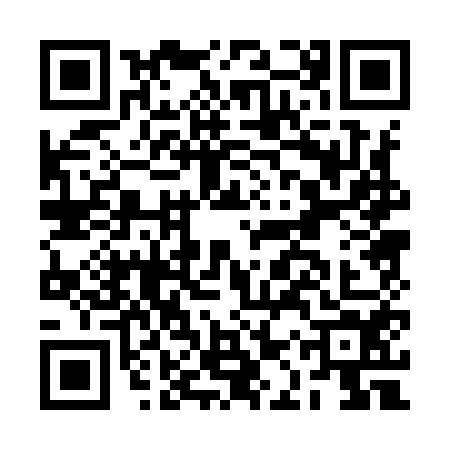 QR code for BAP9545