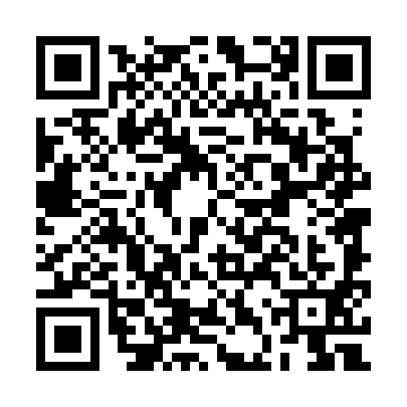 QR code for BDT3919
