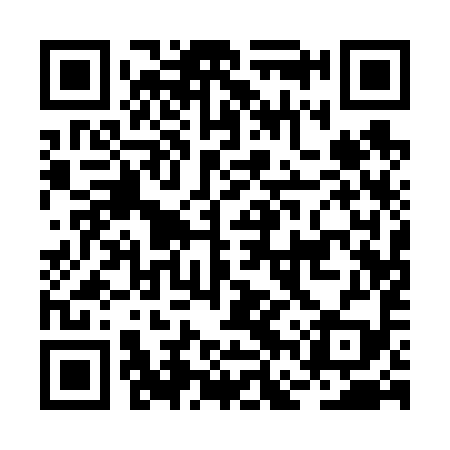 QR code for BFQ699