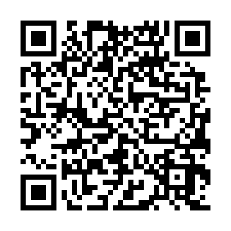 QR code for BIG3325