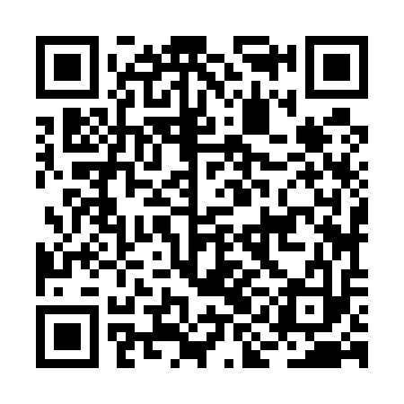 QR code for BIJ513