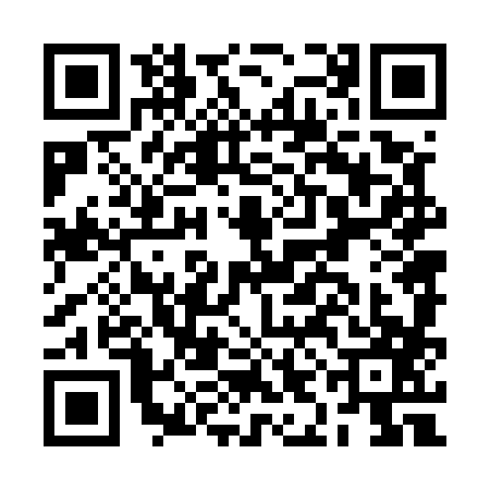 QR code for BIN5873