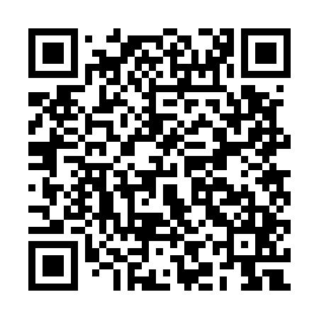 QR code for BIR545