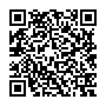 QR code for BIR8397